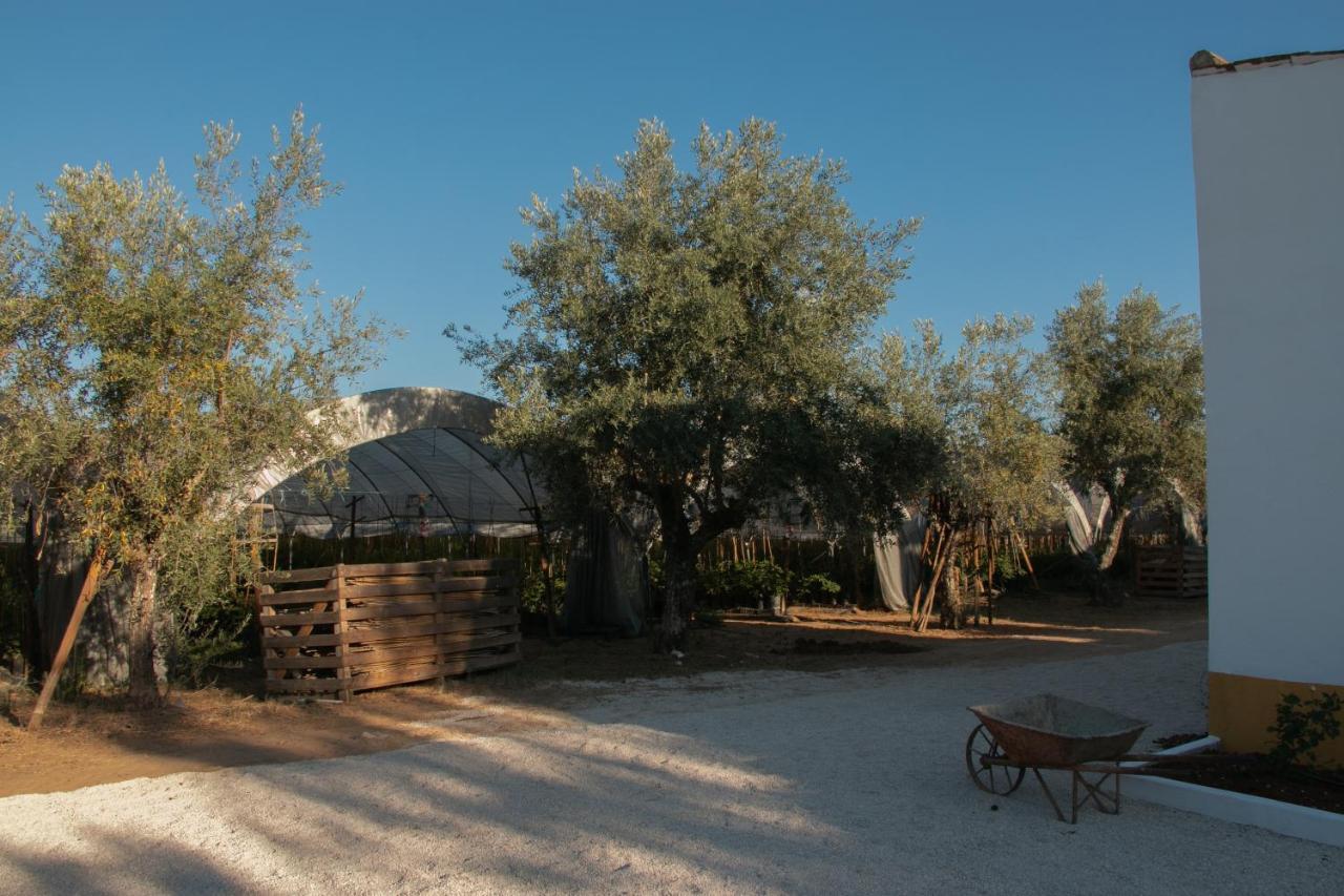 אברנטש Quinta De Santana Da Varzea מראה חיצוני תמונה