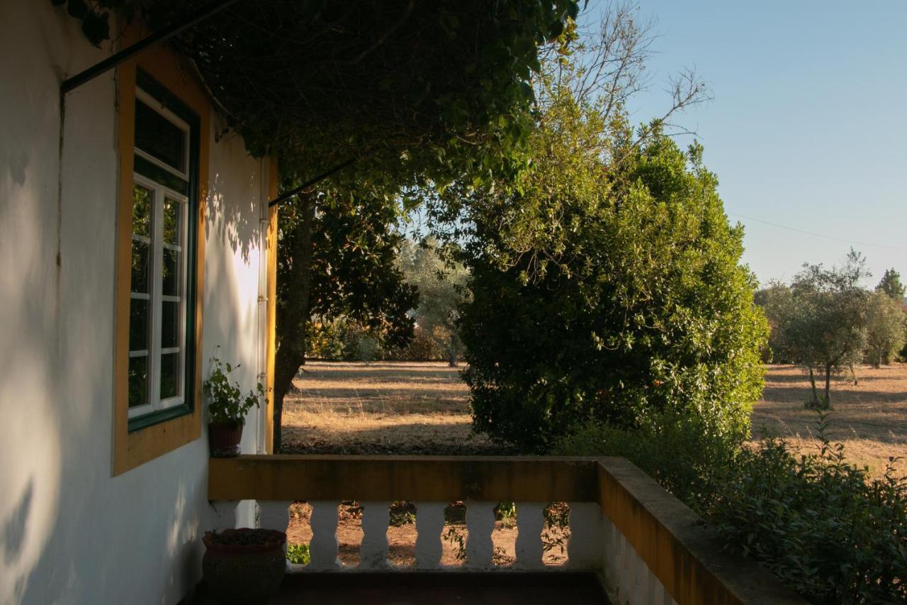 אברנטש Quinta De Santana Da Varzea מראה חיצוני תמונה