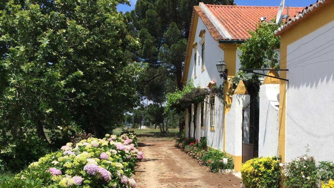 אברנטש Quinta De Santana Da Varzea מראה חיצוני תמונה